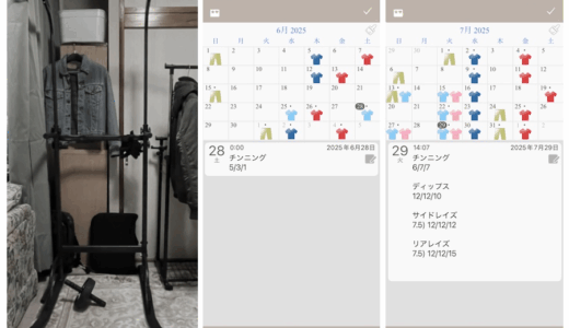 チンニングスタンドは、中高年自宅トレーニングの「回答」だった