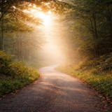 アンチエイジングのための筋トレ