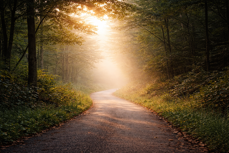 アンチエイジングのための筋トレ
