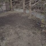 サンダルで収穫するために、3日間「土まみれの地獄」を見た話。｜畑という名のジム