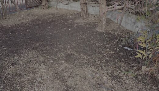 サンダルで収穫するために、熱中症との3日間の戦い｜畑という名のジム