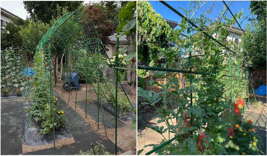 スイカアーチ２